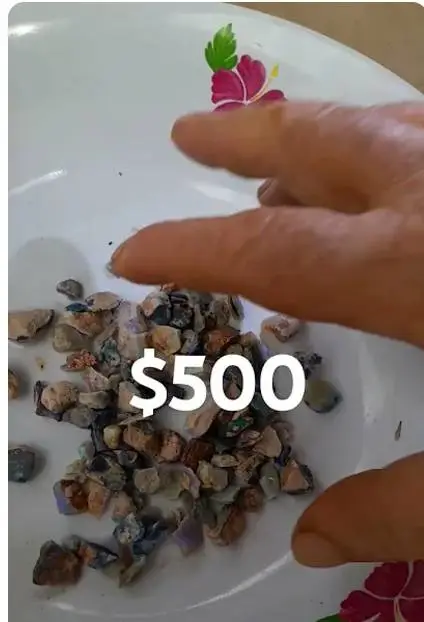 $500 parcel snap