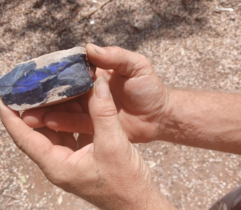Grawin Black opal specimen